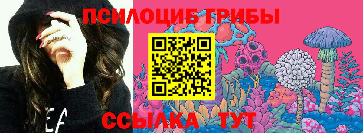Галлюциногенные грибы мицелий Великие Луки